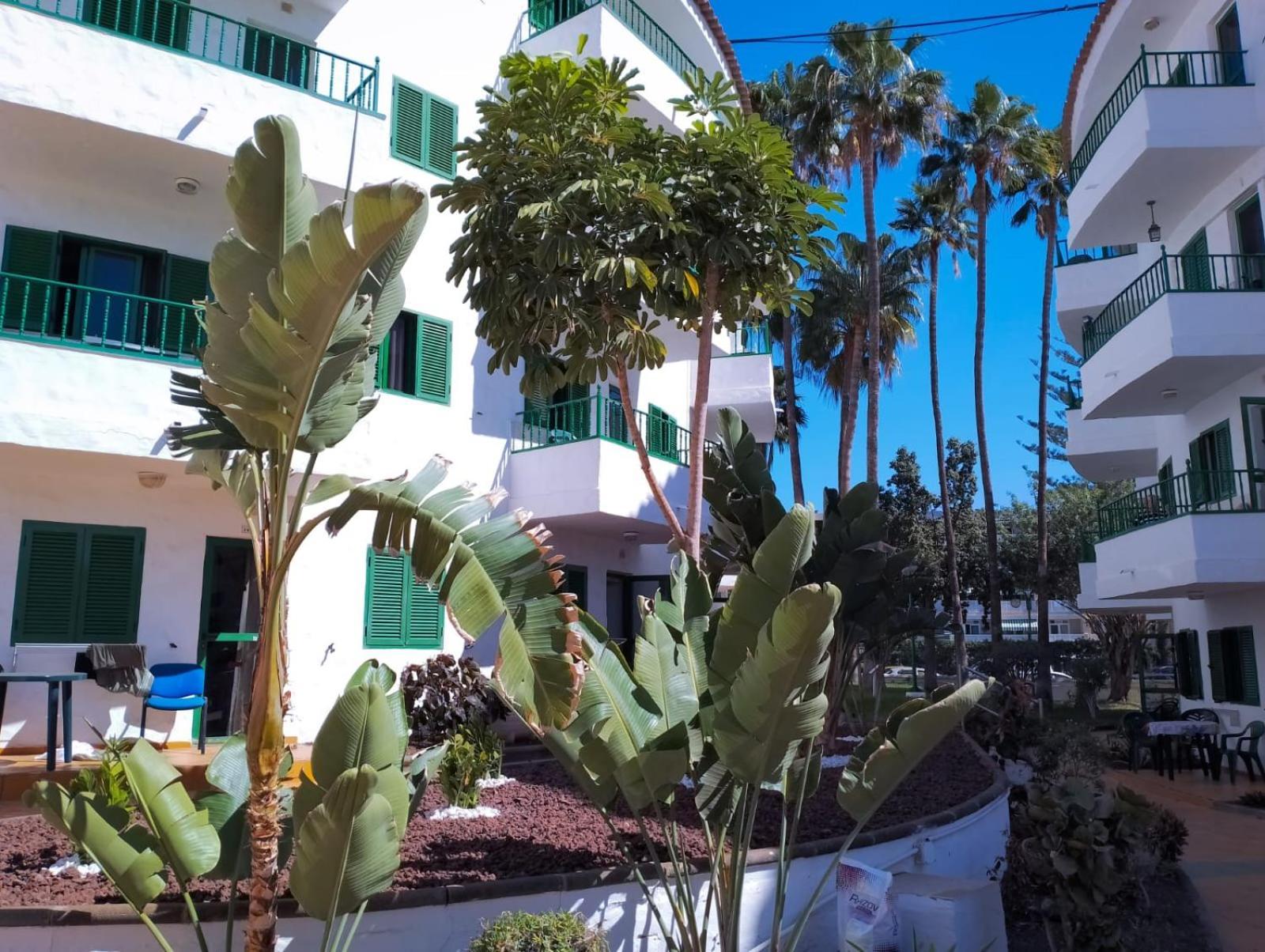 Canarian Havaii En Faluas Playa del Inglés Esterno foto